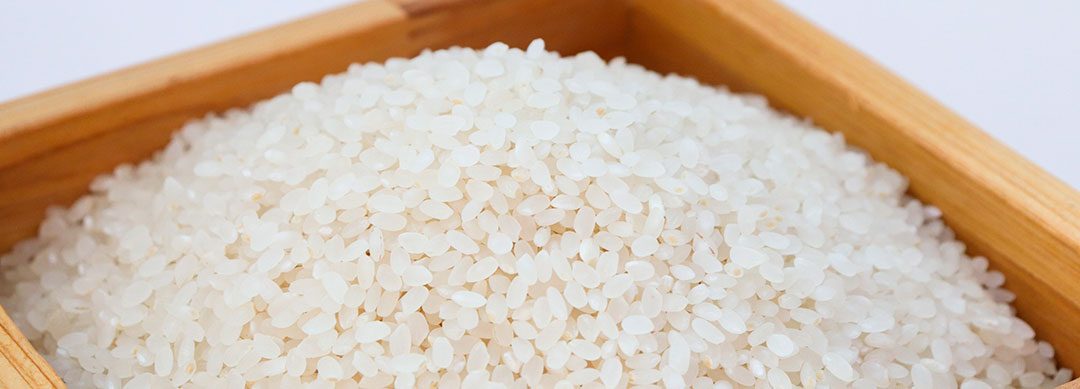 Opportunities for Brazilian Rice in Canada