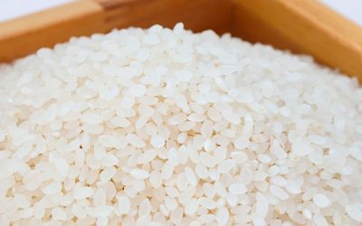 Oportunidades para o arroz brasileiro no Canadá